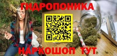твердый Камышлов