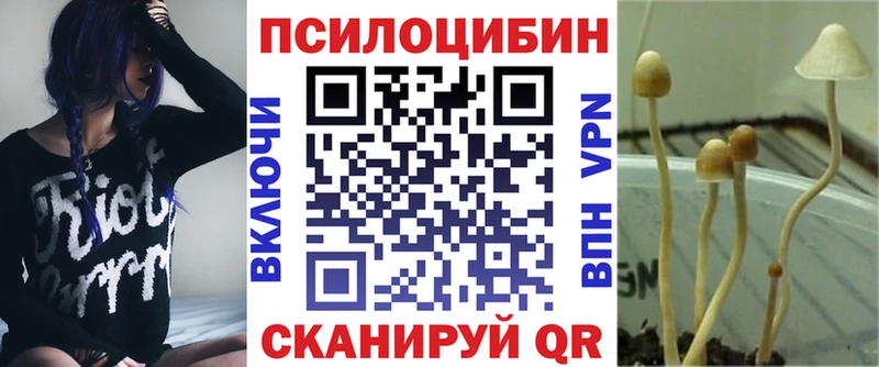 что такое   MEGA   Псилоцибиновые грибы мицелий  Строитель 