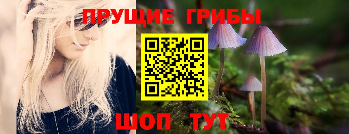Галлюциногенные грибы Psilocybe  Псилоцибиновые грибы мухоморы  Строитель  Вход с VPN 