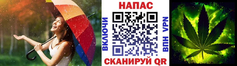 где купить   Строитель  Бошки марихуана Bruce Banner 